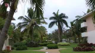 Dominican Republic - Hotel Catalonia Bavaro - Punta Cana