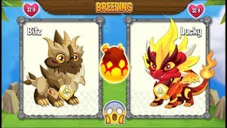NEW BREEDING: Pure Terra Dragon & Pure Flame Dragon | DRAGON CITY ?