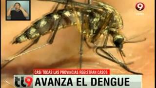 El dengue ya es una epidemia