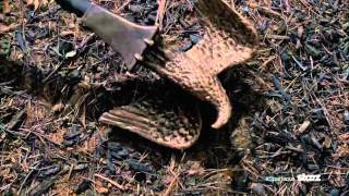 Spartacus War of the Damned Trailer русский трейлер смотреть онлайн 2014