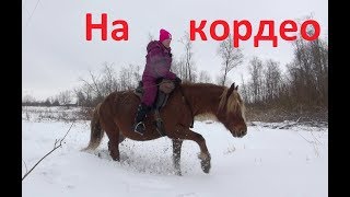 В поле на кордео. Что такое "хобби лошадь".
