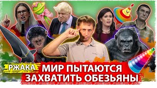 Мир пытаются захватить обезьяны