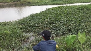 câu cá ,tìm được điểm câu mới có nhiều cá to.