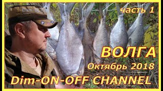 #1. Осенняя рыбалка в Астраханской области. Октябрь 2018. Протока Фурсова. Часть 1.