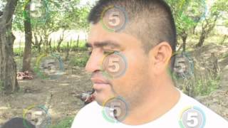 DESTAZAN 3 VACAS Y UN TORO DE FORMA CLANDESTINA