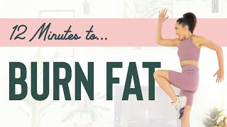 12 Minutes to Burn Fat - Low Impact Cardio Workout