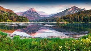 Beautiful Relaxing Music, Dissolve Negative Thoughts & Emotions, Sleep Music