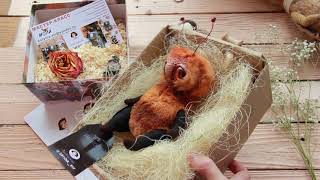 Авторские куклы Дарины Сафоновой. Видео обзор Игрушка Шмель