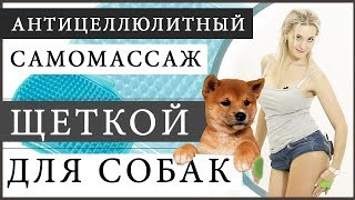 Самомассаж щеткой для собак (АНТИЦЕЛЛЮЛИТНЫЙ массаж в домашних условиях)