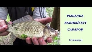 Ловля карася на Южном Буге, Сабаров