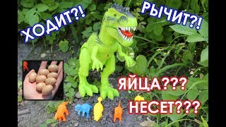 Недорогой ходячий #тираннозавр со звуком, подсветкой и проектором с #AliExpress