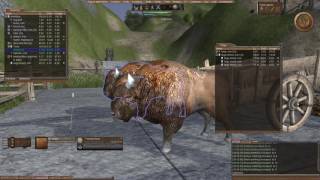 Wurm Unlimited #14 - Большой щит, тренировка боем и первая помощь.