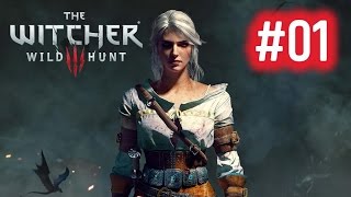 The Witcher 3 Gameplay | Full Walkthrough | Part 1