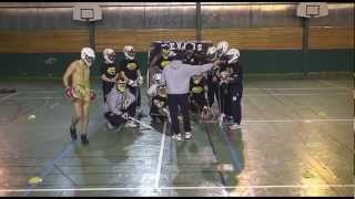 harlemshake nevers lacrosse.