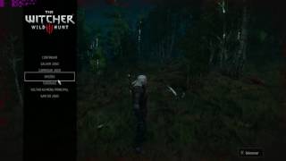 The witcher 3 Intel  i7 960 + Rx 480 8GB