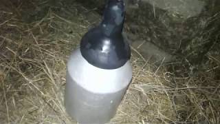 Теленок!Как поить?!Мой метод!