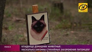 Стихийные кладбища домашних животных разрастаются под Минском