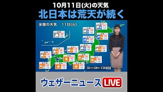 【夜の1分天気】明日10月11日(火)の天気予報 #shorts