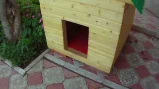 Домик для собаки.House for dogs.