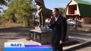 В посёлке Кызылжар появился памятник собаке, спасавшей солдат в годы Афганской войны