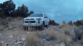 2016 Toyota 4 Runner: Off-Road Near Little Moab Utah