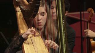 Harp Concerto in B Flat Major, Op  4, No 6, HWV 294 - First Movement by Georg Friedrich Händel