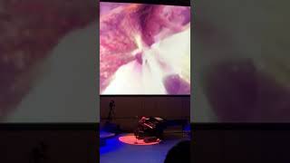 Richard Clayderman Romantic Blue Concert @Toronto 2017-09-29