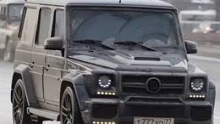 ЖИЗНЬ ВОРАМ ВЕЧНО