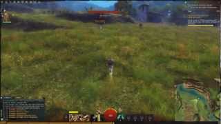 Guild Wars 2 Проходим игру часть 1