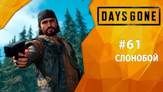 Прохождение Days Gone #61 - Слонобой