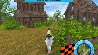 Pferd leveln