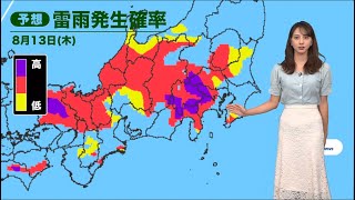 ゲリラ豪雨情報　大気不安定で局所的に雷雨が発生する予想