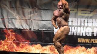 Brench Waren.Top de Colmar