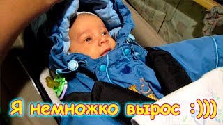 Поездка с Борей мл. к врачу. Его вес, рост + Стерилизация кошек. (12.17г.) Семья Бровченко.
