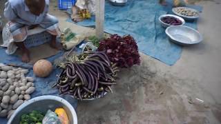our family holy day tour | masir bari  tour