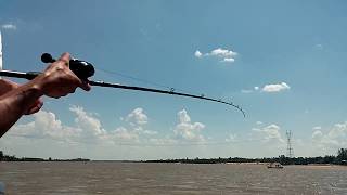 Pesca de bogas en concordia 2017