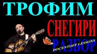Трофим Снегири разбор