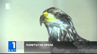 Полетът на орела за мача на Лудогорец с Валенсия