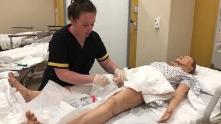 Male Foley Catheter Insertion