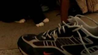 Oreo Sniffing Shoes