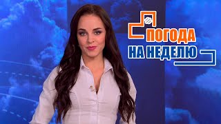 Станет ещё холоднее? Погода на неделю / Прогноз погоды с 5 по 11 сентября 2022 / Плюс-минус