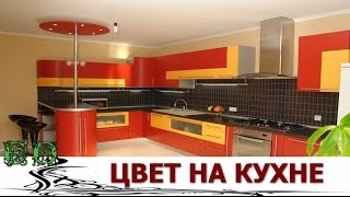 ЦВЕТ на Кухне.   Самые Интересные идеи
