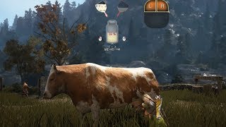 Black Desert Online: Horse Training, Tents and Cow Milking (2nd CB Korea)