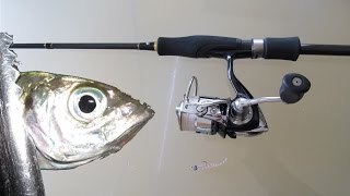 アジング初心者が最初の１尾を釣るまでのファーストステップ！ジグヘッド単体＆ワームで常夜灯付近に群がるアジを釣る為のタックルを具体的に動画でお伝えします。実釣シーンあり