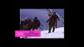 Horse on Elbrus (5642 m). Лошади карачаевской породы на Эльбрусе /03/