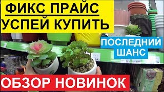 ФИКС ПРАЙС 2020. УСПЕЙТЕ КУПИТЬ. ЗАВЕЗЛИ НОВИНКИ. ОБЗОР ТОВАРА И ЦЕН В МАГАЗИНЕ FIX PRICE.