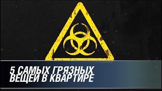 5 самых грязных вещей в квартире