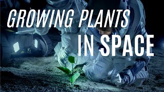 Growing Plants in Space - Space Gardens || Asgardian Club