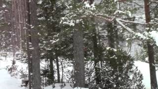 Snøscooter pøbelen
