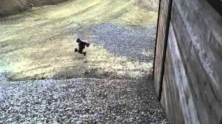high fly fail die 2te